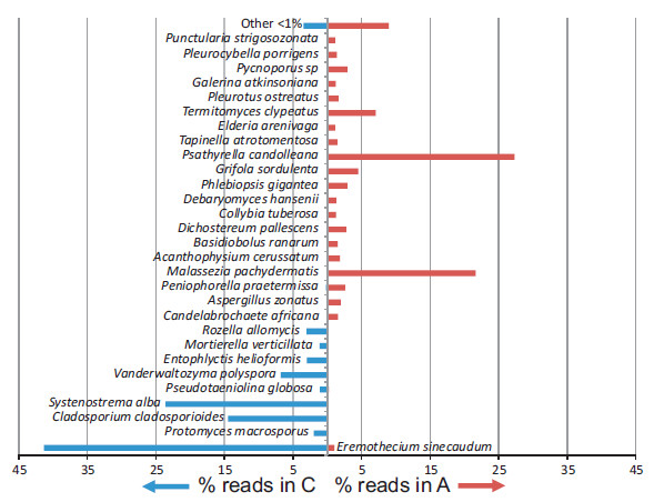 Graph shows substantial differences between reads for fungal species identified in asthma patients and control participants. The only fungal species found in significant amounts in both groups is Eremothecium sinecaudum: roughly 41% of control samples and roughly 1 % of asthmatic samples. Asthmatic patient samples included significant readings of 20 species lacking in significant numbers from control samples. Control samples included significant readings of 9 species lacking in asthmatic patient samples. Both groups contained numerous species in fewer than 1%, below the significance threshold for this graph.